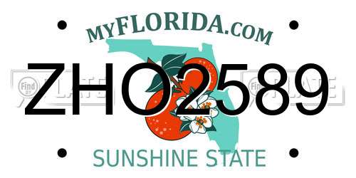 ZHO2589 Florida License Plate