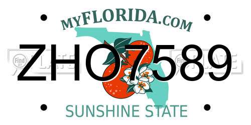 ZHO7589 Florida License Plate