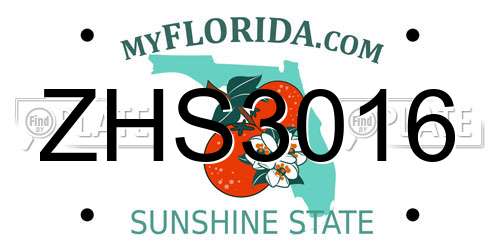 ZHS3016 Florida License Plate