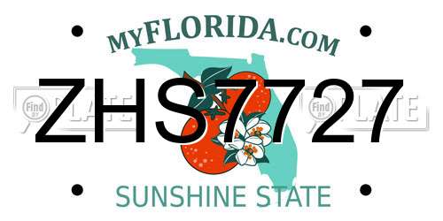 ZHS7727 Florida License Plate