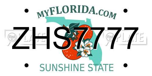 ZHS7777 Florida License Plate