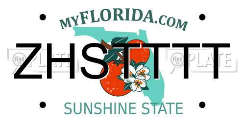 ZHSTTTT Florida License Plate