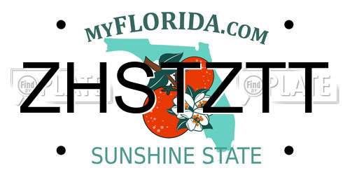 ZHSTZTT Florida License Plate