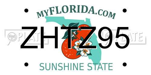 ZHTZ95 Florida License Plate