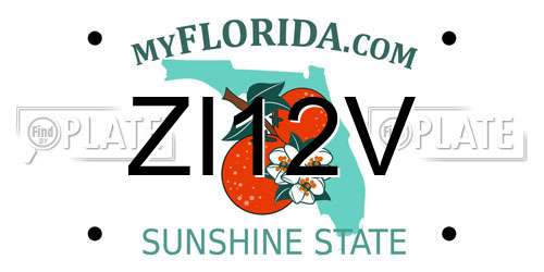 ZI12V Florida License Plate