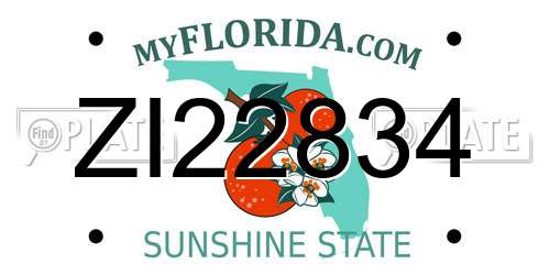 ZI22834 Florida License Plate