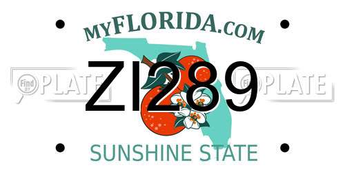 ZI289 Florida License Plate