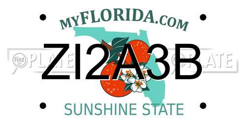 ZI2A3B Florida License Plate