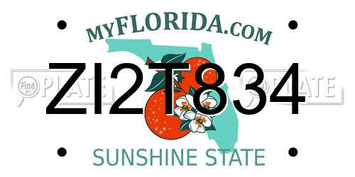 ZI2T834 Florida License Plate