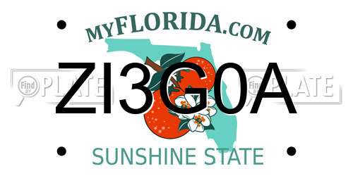 ZI3G0A Florida License Plate