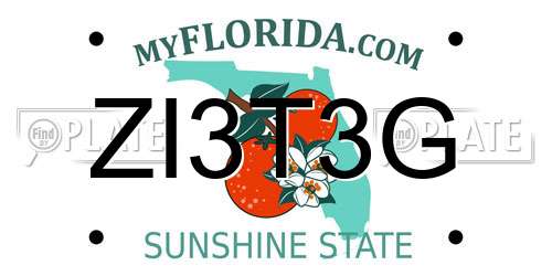 ZI3T3G Florida License Plate