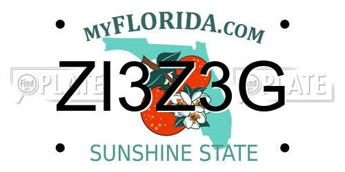 ZI3Z3G Florida License Plate