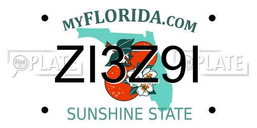 ZI3Z9I Florida License Plate