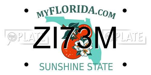 ZI73M Florida License Plate