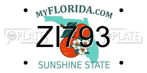 ZI793 Florida License Plate