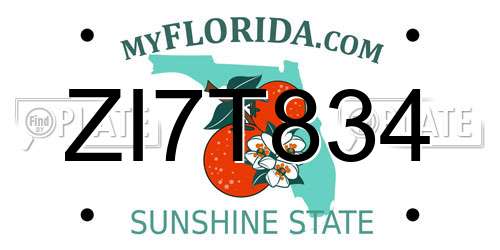 ZI7T834 Florida License Plate