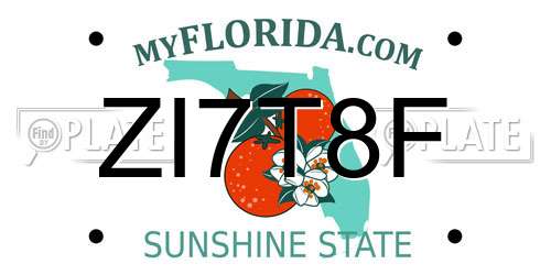 ZI7T8F Florida License Plate