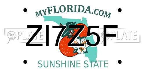 ZI7Z5F Florida License Plate