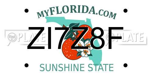 ZI7Z8F Florida License Plate
