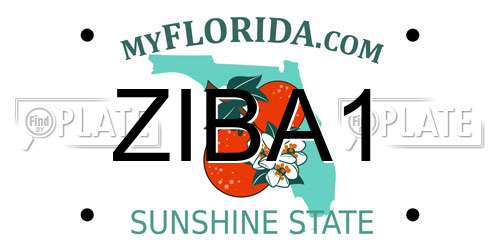 ZIBA1 Florida License Plate