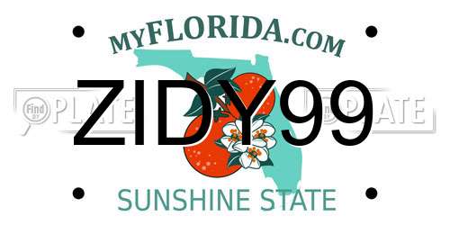 ZIDY99 Florida License Plate