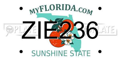 ZIE236 Florida License Plate
