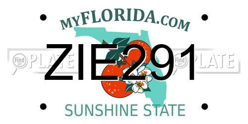 ZIE291 Florida License Plate
