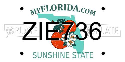 ZIE736 Florida License Plate