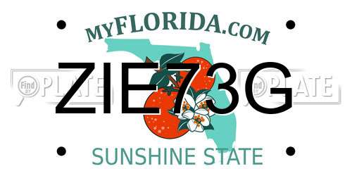 ZIE73G Florida License Plate