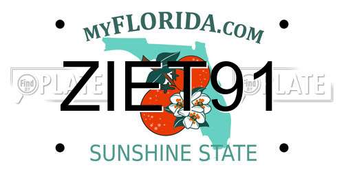 ZIET91 Florida License Plate