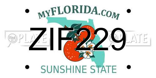 ZIF229 Florida License Plate