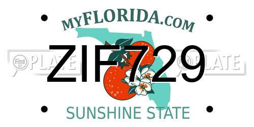 ZIF729 Florida License Plate