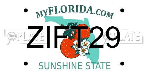 ZIFT29 Florida License Plate