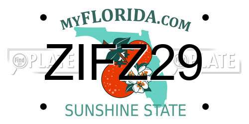 ZIFZ29 Florida License Plate