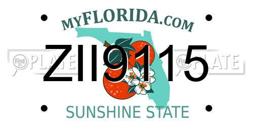 ZII9115 Florida License Plate