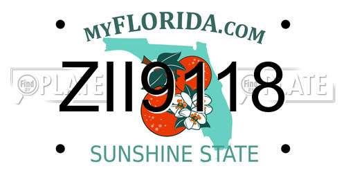 ZII9118 Florida License Plate
