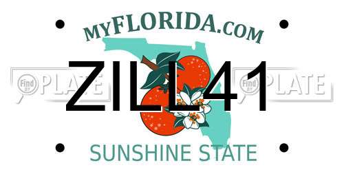ZILL41 Florida License Plate