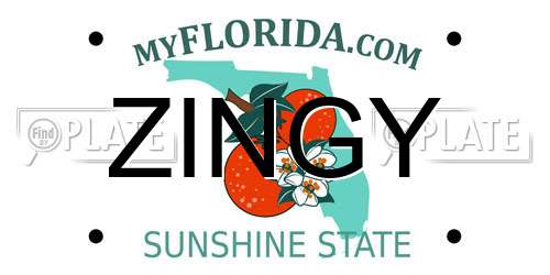 ZINGY Florida License Plate