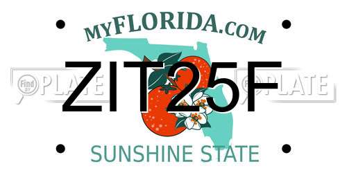 ZIT25F Florida License Plate