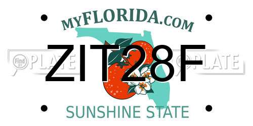 ZIT28F Florida License Plate