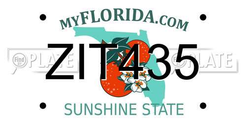ZIT435 Florida License Plate