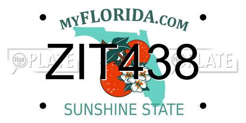 ZIT438 Florida License Plate