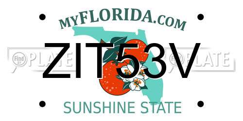 ZIT53V Florida License Plate