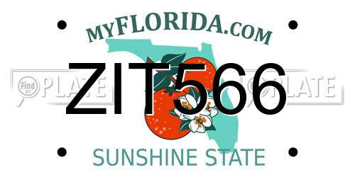 ZIT566 Florida License Plate
