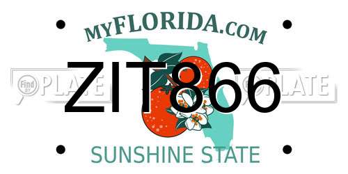 ZIT866 Florida License Plate