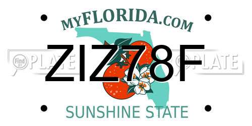 ZIZ78F Florida License Plate