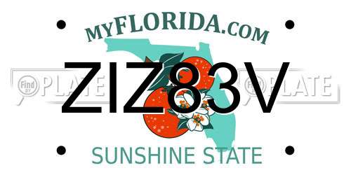 ZIZ83V Florida License Plate