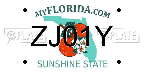 ZJ01Y Florida License Plate