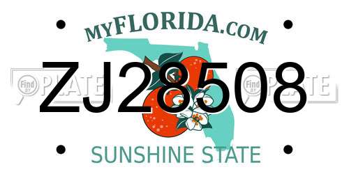 ZJ28508 Florida License Plate