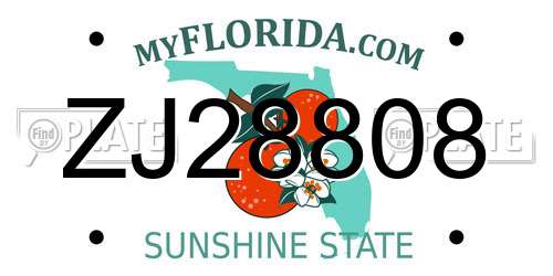 ZJ28808 Florida License Plate